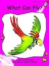 What Can Fly?: Emergent