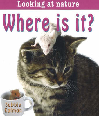 Where is It?