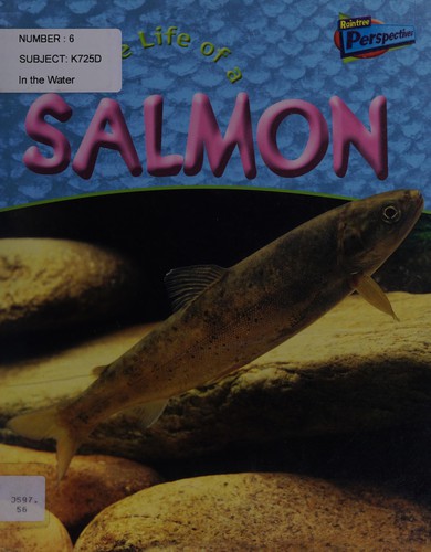The Life Of A Salmon