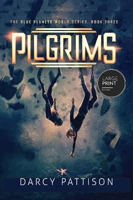 Pilgrims Large Print