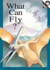 What Can Fly?