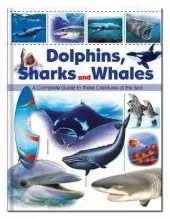 Dolphins, Sharks & Whales