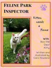 Kitten Needs a Home