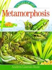 Metamorphosis
