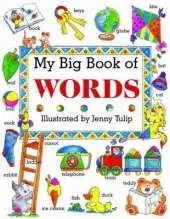 My Big Book of Words
