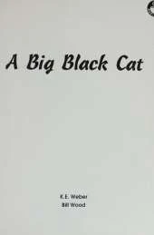 A Big Black Cat
