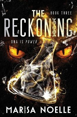 The Reckoning: A Young Adult Coming of Age Sci-fi Dystopian Romance