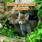 Baby Animals in Dens