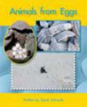 Springboard Lvl 13f: Animals from Eggs