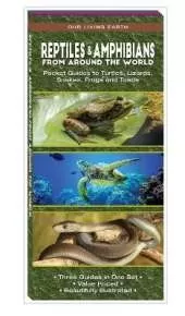 Reptiles & Amphibians from Around the World: Pocket Guides to Turtles, Lizards, Snakes, Frogs and Toads
