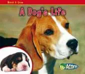 Dog's Life