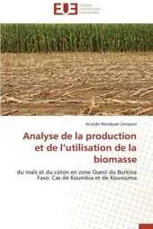 Analyse de La Production Et de L Utilisation de La Biomasse
