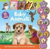 Baby Animals