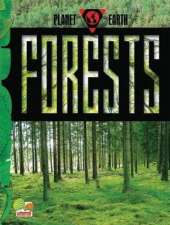 Forests: key stage 2