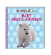 Baby Animals: Arctic