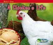 A Chicken's Life