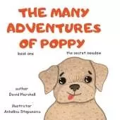 The Many Adventures Of Poppy - The Secret Meadow