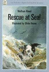 Rescue at Sea!