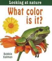 What Color Is it