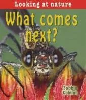 What Comes Next