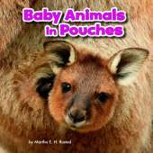 Baby Animals and Their Homes Pack A of 4