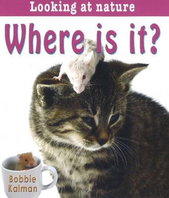 Where Is It
