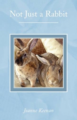 Not Just a Rabbit