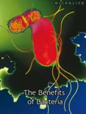 The Benefits of Bacteria