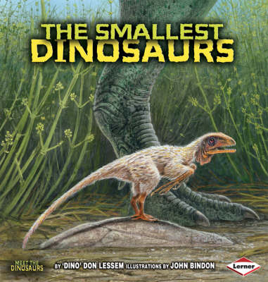 The Smallest Dinosaurs
