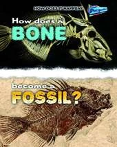 How Does it Happen