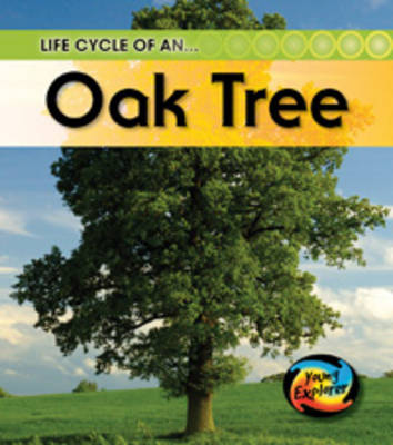 The Life Of A Tree