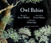 Owl Babies
