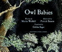 Owl Babies
