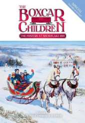 The Mystery at Snowflake Inn