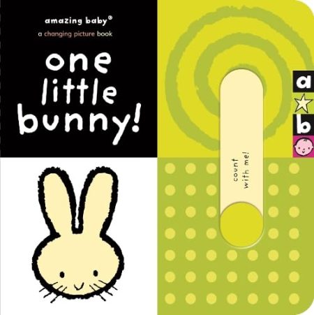 One Little Bunny