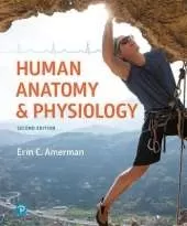 Human Anatomy & Physiology