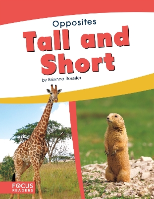 Opposites: Tall and Short