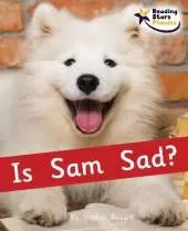 Is Sam Sad?: Phase 2