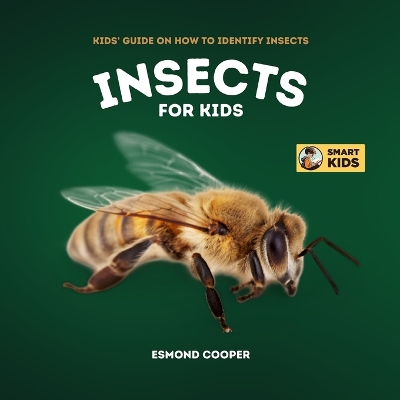 Insects for Kids: Kids' Guide on How to Identify Insects