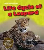 Life Cycle of a Leopard: A Sequence and Order Text