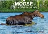 MOOSE Of The Northern Woods 2019: Let's follow the moose of Quebec northern woods. Philippe Henry presents 13 photos of this silent giant.