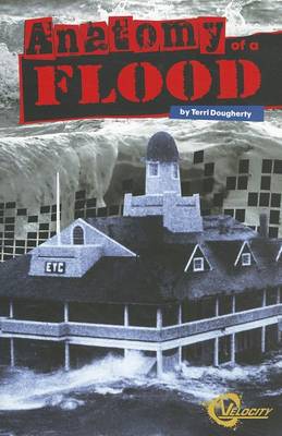 Anatomy of a Flood