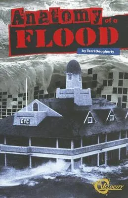 Anatomy of a Flood