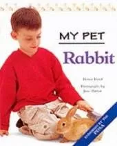MY PET RABBIT