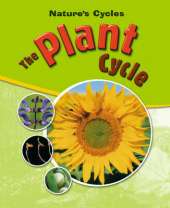 Nature's Cycles: The Plant Cycle