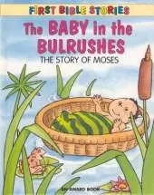 The Baby in the Bulrushes