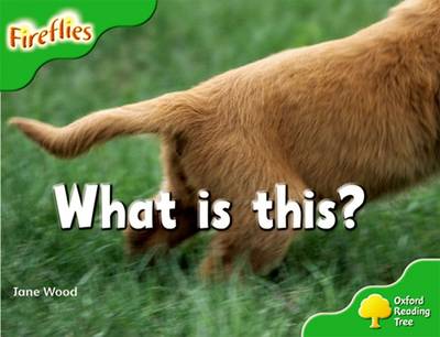 Oxford Reading Tree: Level 2: More Fireflies A: What Is This?