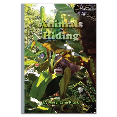 Animals Hiding