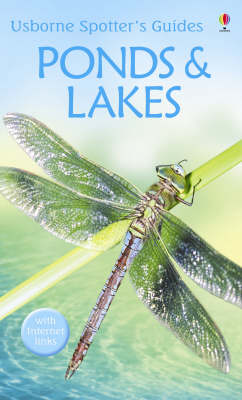 Ponds And Lakes