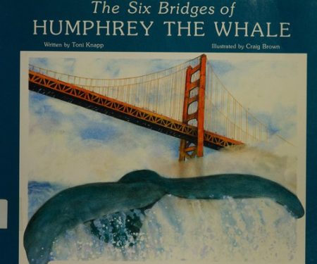 The Six Bridges of Humphrey the Whale